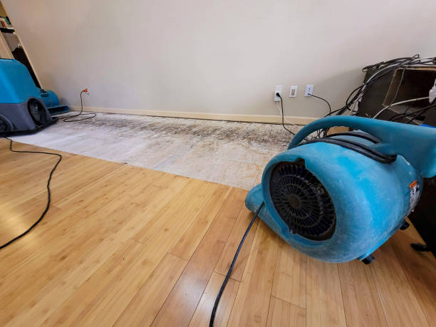 Professional Sewage Cleanup technician working in Tyrone, PA